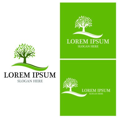 Ağaç simgesi ve sembol vektör şablonu