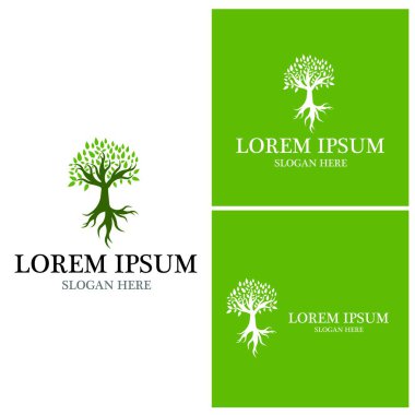 Ağaç simgesi ve sembol vektör şablonu