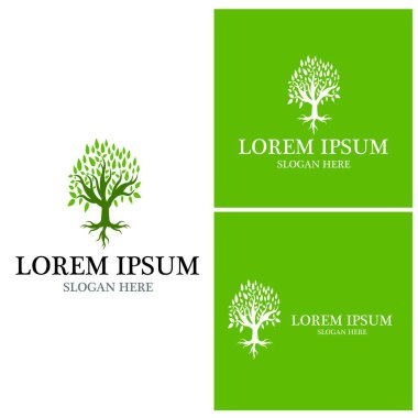 Ağaç simgesi ve sembol vektör şablonu