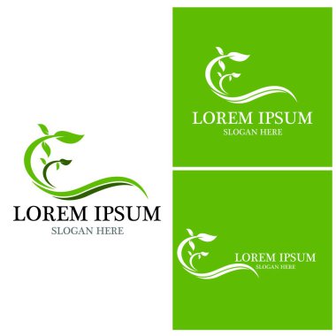 Doğa yaprağı simgesi ve sembol vektörü