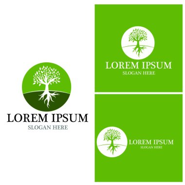 Ağaç simgesi ve sembol vektör şablonu