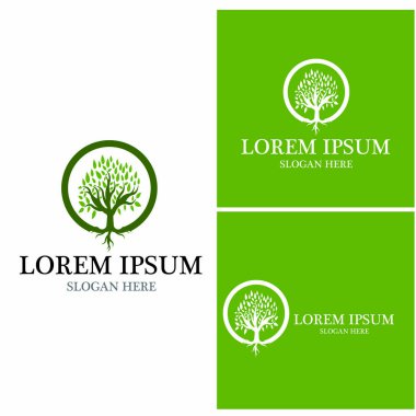 Ağaç simgesi ve sembol vektör şablonu