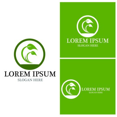 Doğa yaprağı simgesi ve sembol vektörü