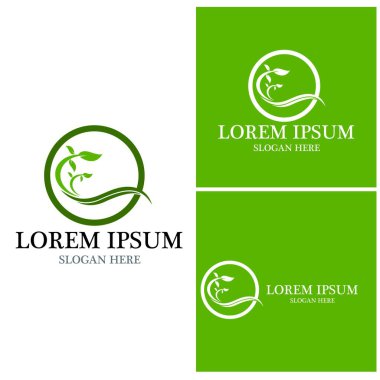 Doğa yaprağı simgesi ve sembol vektörü