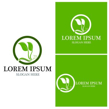 Doğa yaprağı simgesi ve sembol vektörü