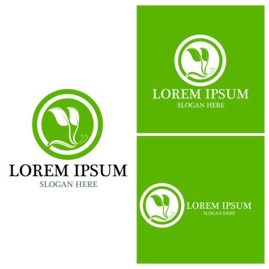 Doğa yaprağı simgesi ve sembol vektörü