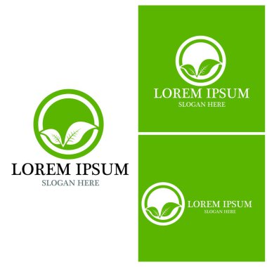 Doğa yaprağı simgesi ve sembol vektörü