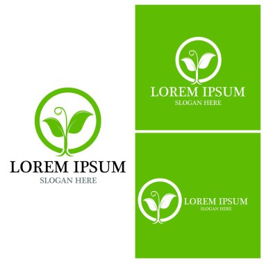 Doğa yaprağı simgesi ve sembol vektörü