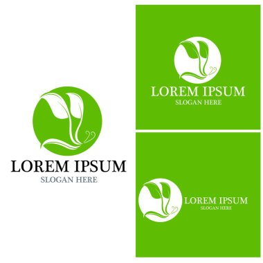 Doğa yaprağı simgesi ve sembol vektörü