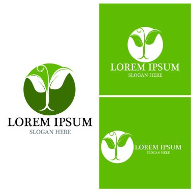 Doğa yaprağı simgesi ve sembol vektörü