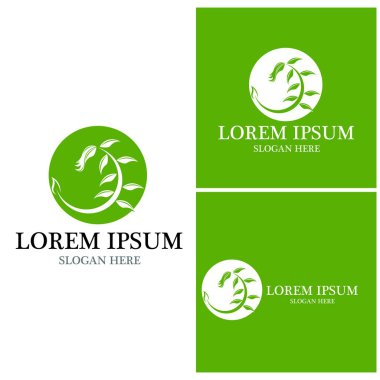 çiçek vektör tasarım şablonu çizimi