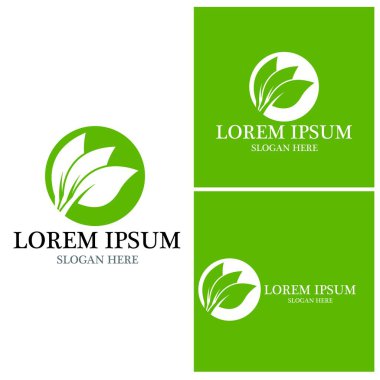 Doğa yaprağı simgesi ve sembol vektörü