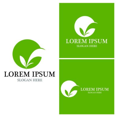 Doğa yaprağı simgesi ve sembol vektörü