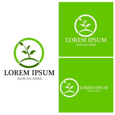 Doğa yaprağı simgesi ve sembol vektörü