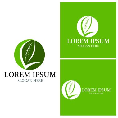 Doğa yaprağı simgesi ve sembol vektörü