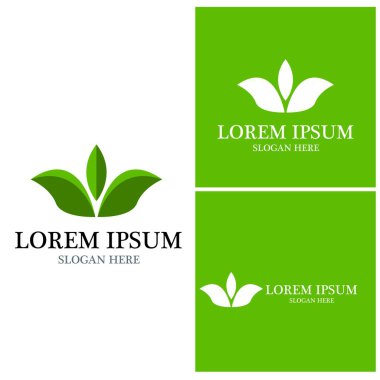 Doğa yaprağı simgesi ve sembol vektörü