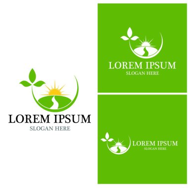 Doğa yaprağı simgesi ve sembol vektörü