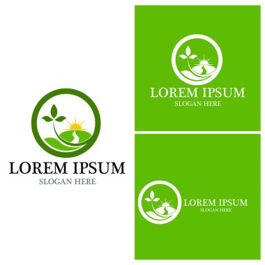 Doğa yaprağı simgesi ve sembol vektörü