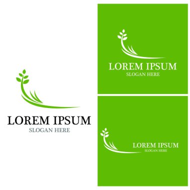 Doğa yaprağı simgesi ve sembol vektörü