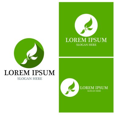 Doğa yaprağı simgesi ve sembol vektörü