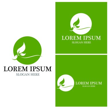 Doğa yaprağı simgesi ve sembol vektörü