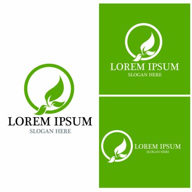 Doğa yaprağı simgesi ve sembol vektörü