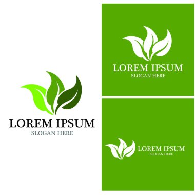 Doğa yaprağı simgesi ve sembol vektörü