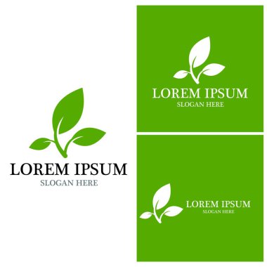 Doğa yaprağı simgesi ve sembol vektörü