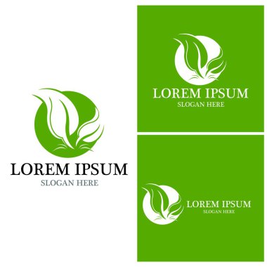 Doğa yaprağı simgesi ve sembol vektörü