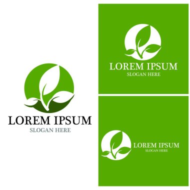 Doğa yaprağı simgesi ve sembol vektörü