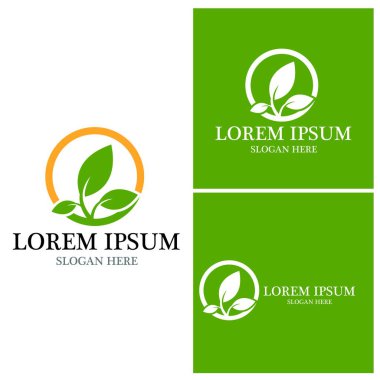 Doğa yaprağı simgesi ve sembol vektörü