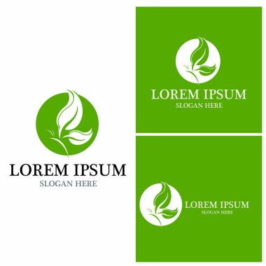 Güzellik Kelebeği Vektör simgesi tasarımı