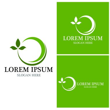 Doğa yaprağı simgesi ve sembol vektörü