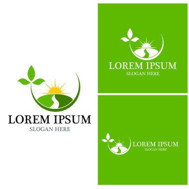 Doğa yaprağı simgesi ve sembol vektörü