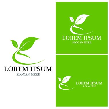 Doğa yaprağı simgesi ve sembol vektörü