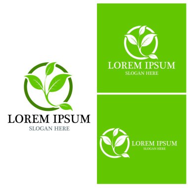 Doğa yaprağı simgesi ve sembol vektörü