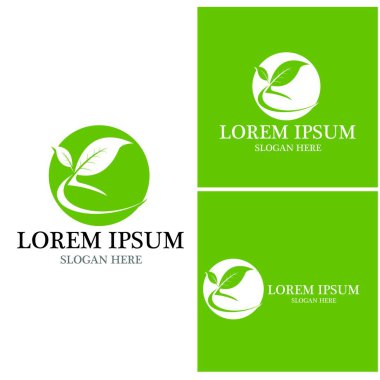 Doğa yaprağı simgesi ve sembol vektörü