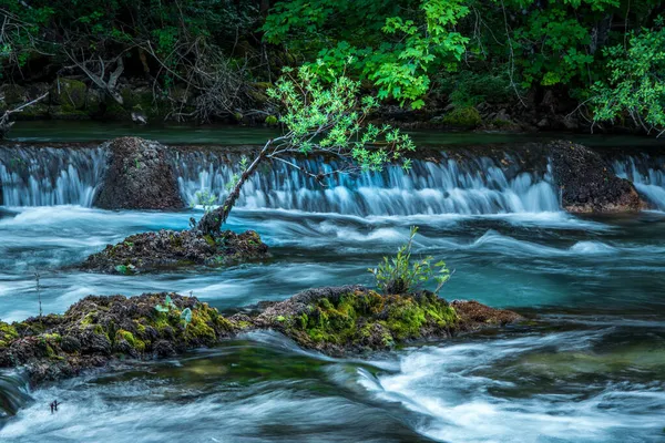 Panorama Cascadas Sobre Río Una Pequeño Árbol Medio Verano Croacia — Foto de Stock