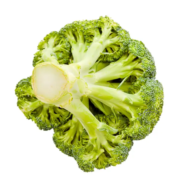 Green broccoli isolated on White Background — Stock Photo, Image