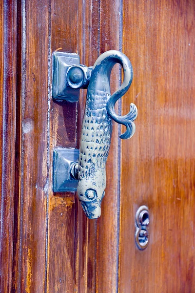 Golpeador de puerta —  Fotos de Stock