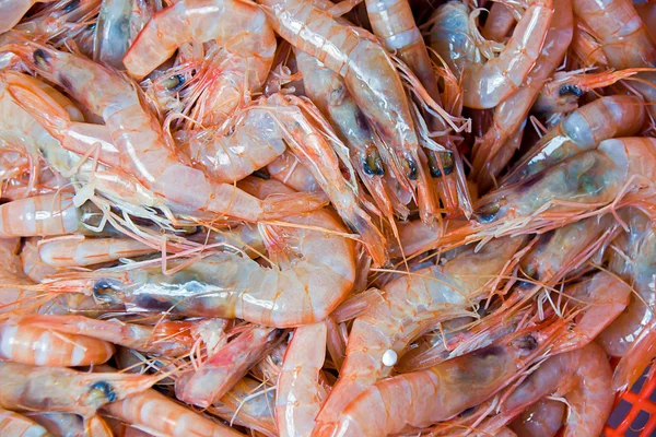 Shellfish in a market — Stock Photo, Image