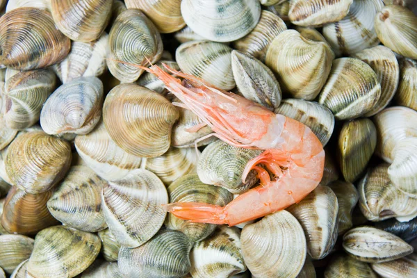 Skaldjur på en marknad — Stockfoto