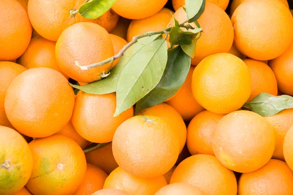 Naranjas — Foto de Stock