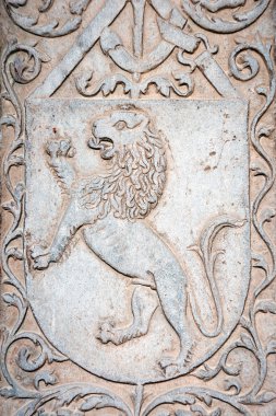 taş duvar aslan