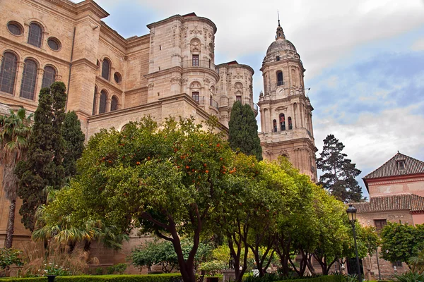 Malaga kathedraal, Andalusië, Spanje — Stockfoto