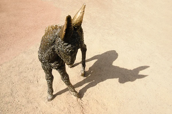 Sombra de burro — Foto de Stock