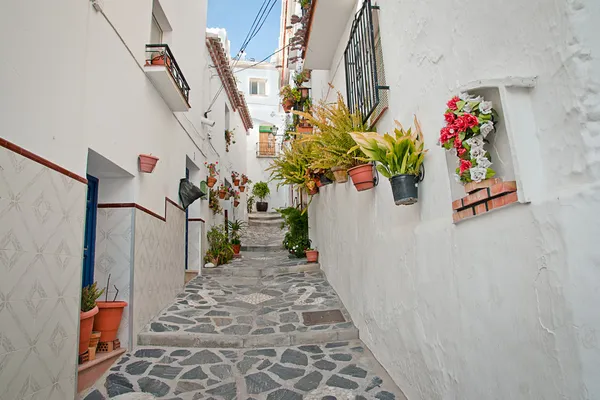 카 닐 라 데 알바 이다 스페인, 전통적인 백색 도시 스톡 사진