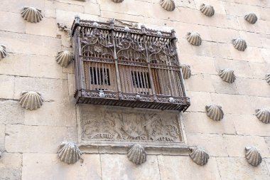 Casa de las conchas Salamanca, castilla y leon, İspanya