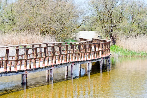 Tablas de Daimiel — Stock Fotó