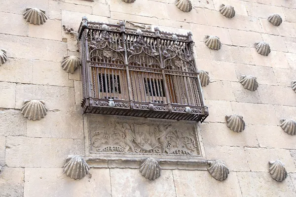 Casa de las conchas Salamanca, castilla y leon, İspanya